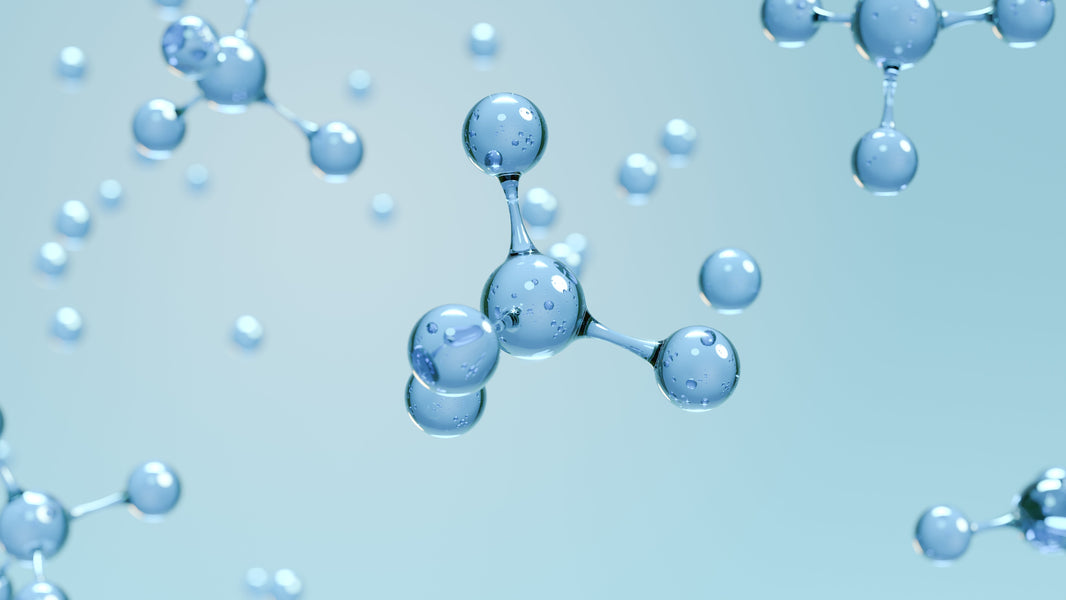 Understanding NAD+: The molecule that powers your cells